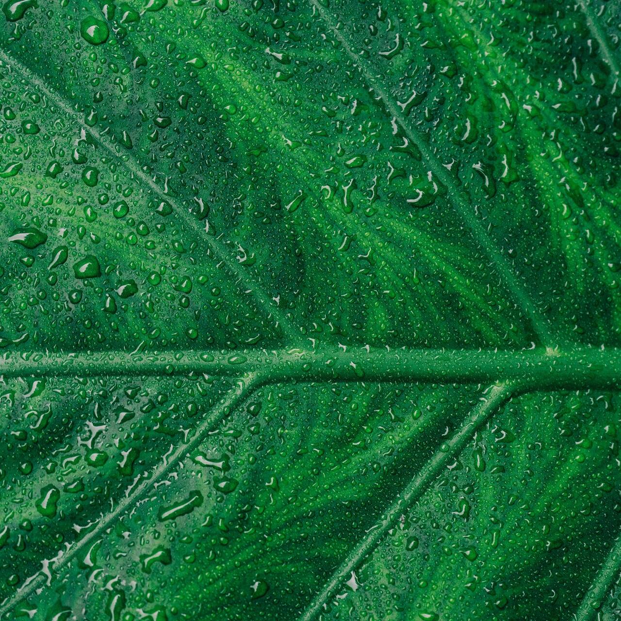 Investor perceptions on ESG- what matters